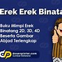 Buku Mimpi 2D Kucing Berkelahi